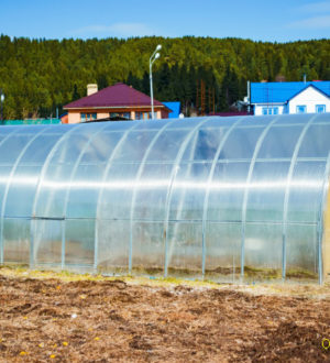 Отопление теплицы из поликарбоната: варианты реализации